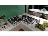106.0204.367-Franke Ocak Neptun FHNE COR 4 3 G TC XS C Inox